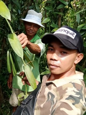 bambang prasetyo bambang prasetyo